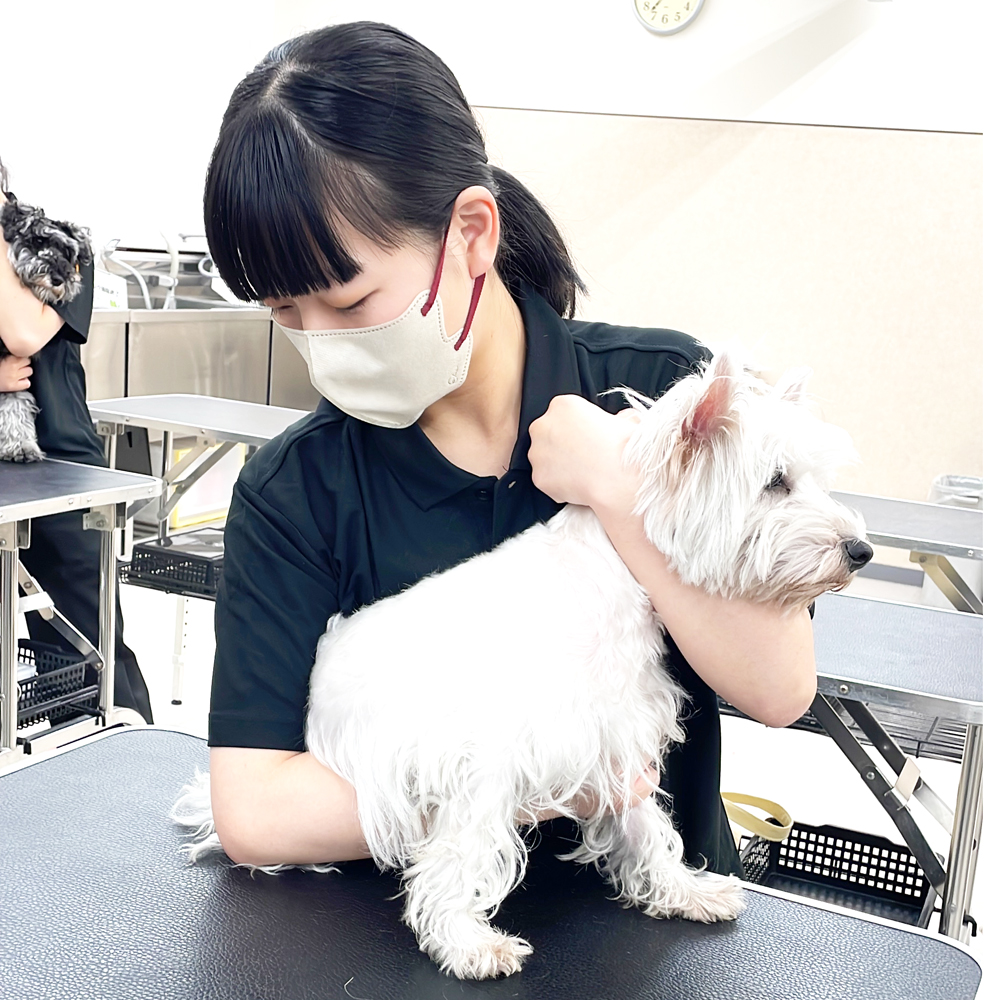 1年生の保定実習